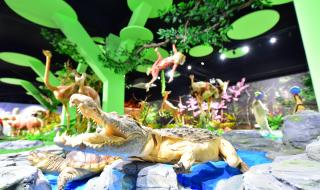 郑州黄河游览区门票